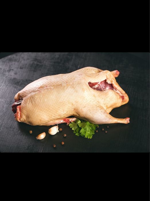 Продам домашнюю тушку утки