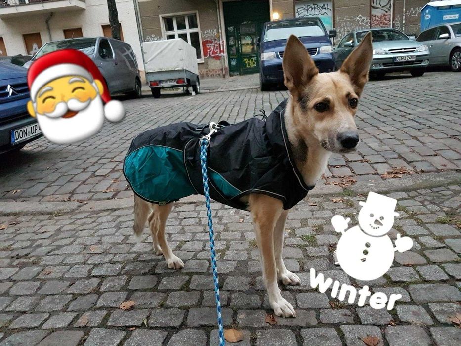 Vesta palton haina caine diverse marimi Hunter rezistanta apa/vant NOU