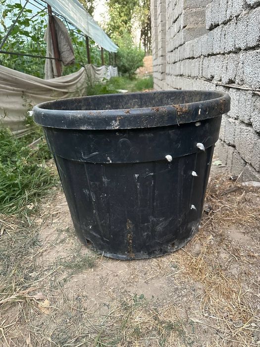 Gul va daraxtlar uchun har hil razmerda tuvakla bor