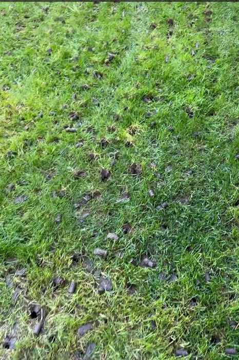 Aerator de Gazon Billy Goat PL2501SPH (PLUGR®)  - verticultor