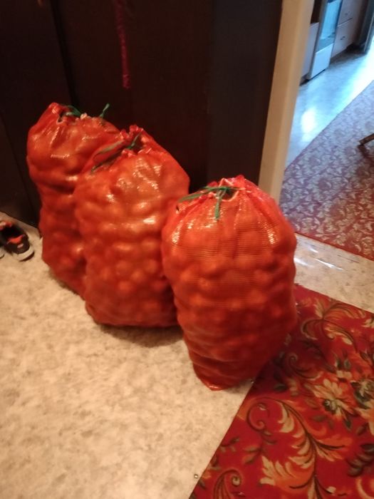 Продам картофель