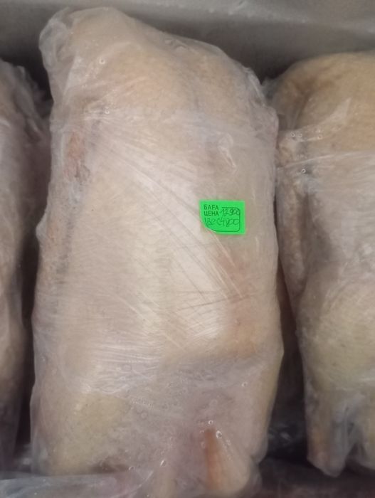Продам свежее мясо гуся