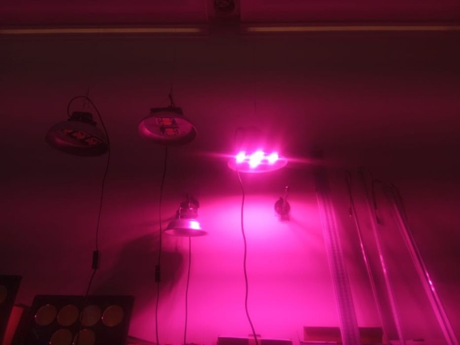 50-250 ватт ФИТО-ЛАМПА светильник для растений и рассады в теплицы или
