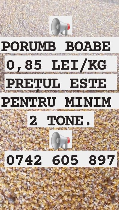 Porumb boabe 0,85