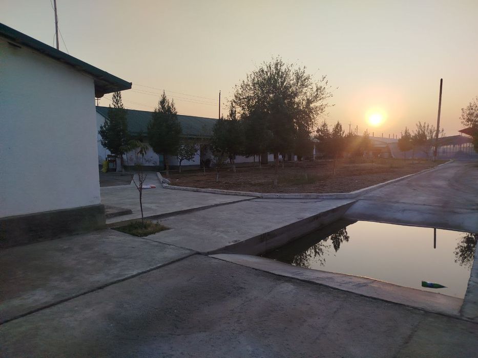 Ишлаб турган ферма сотилади