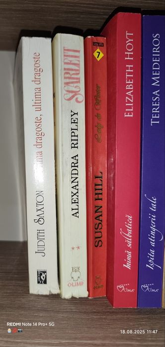 Carti la bucata sau lot