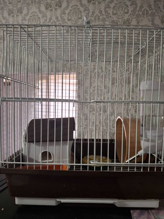 Продам клетку с хомячками