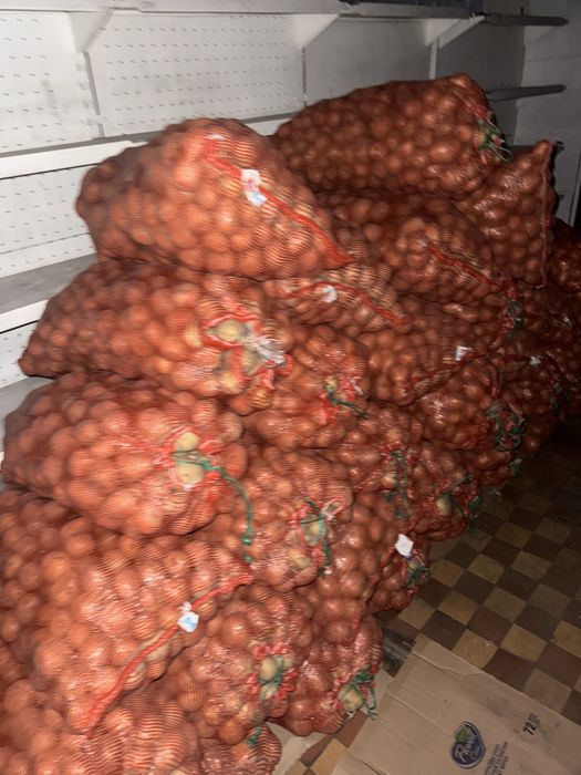 Продам Картофель