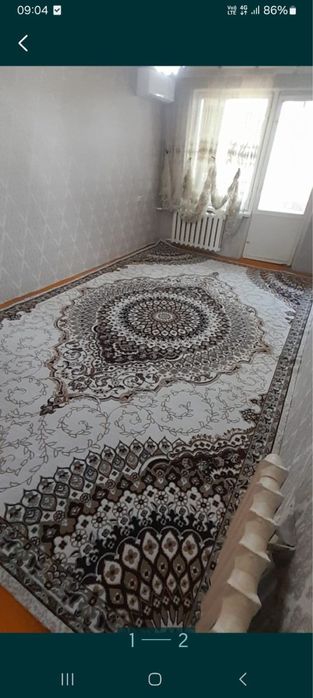 Белгийский клем новый