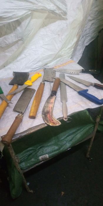 Satare pt tomcat carne