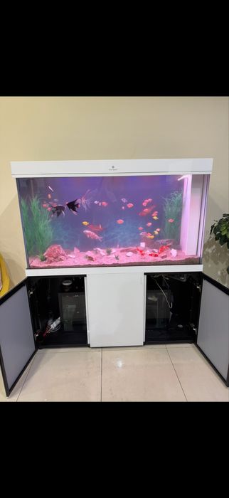 Akvarium tozalash xizmati, Аквариум тозалаш