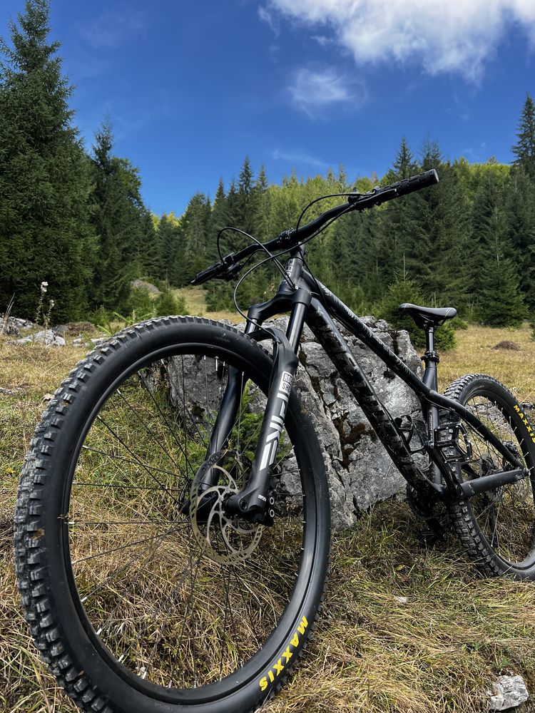Vand Dartmoor Hornet