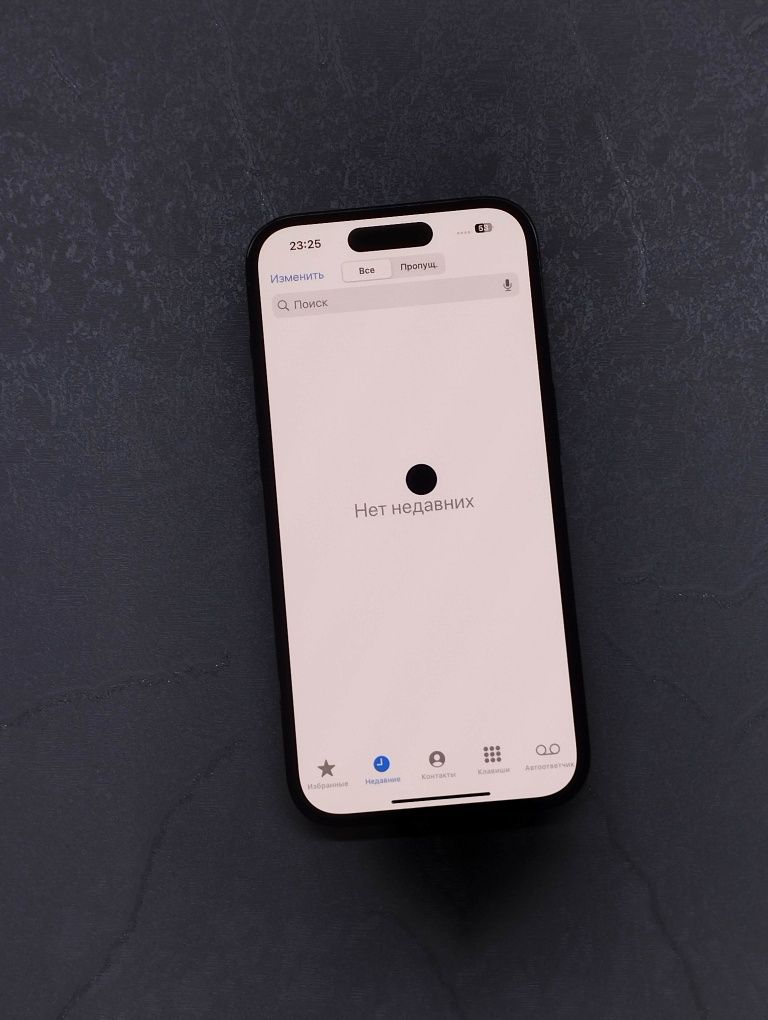 iPhone 13 Pro  CH/A