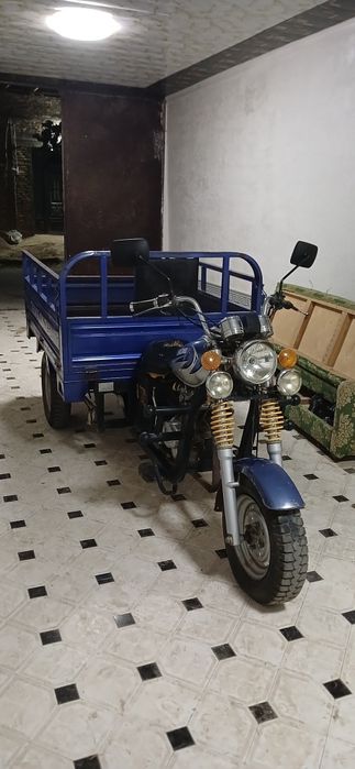 Муравей Tenglong