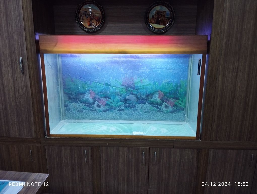 Akvarium  tezlikda sotiladi