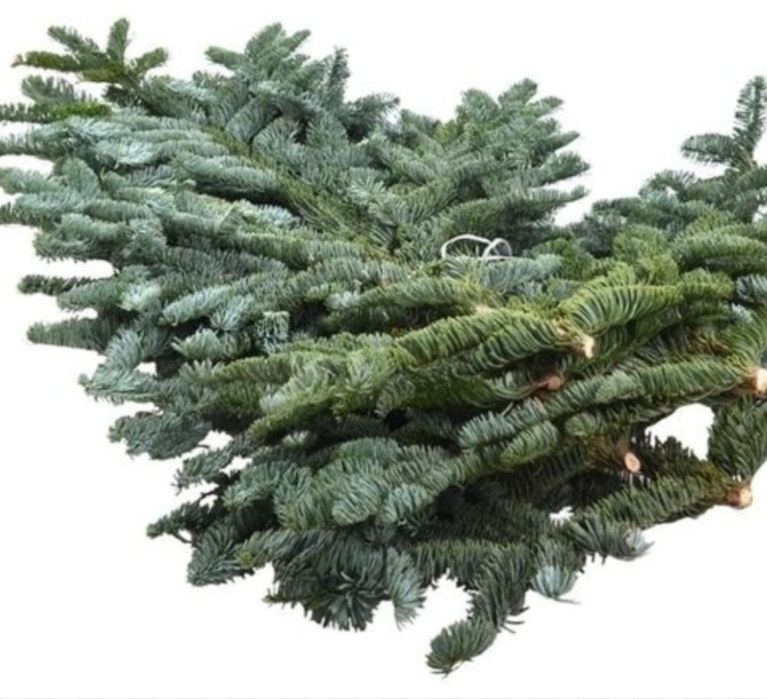 Продаётся  Нобилис