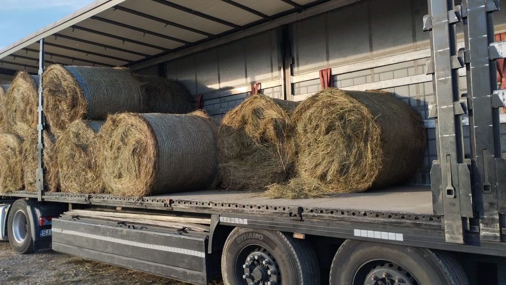 Baloti lucerna sau Fan.Rotunzi min.40.drept.500.La TIR.Pomi fructiferi