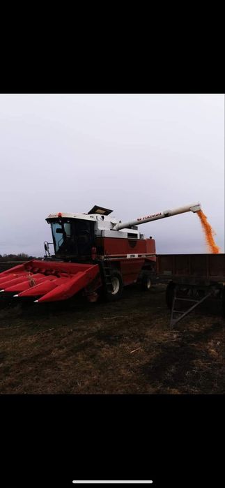 Vand porumb productie 2025 Pionier