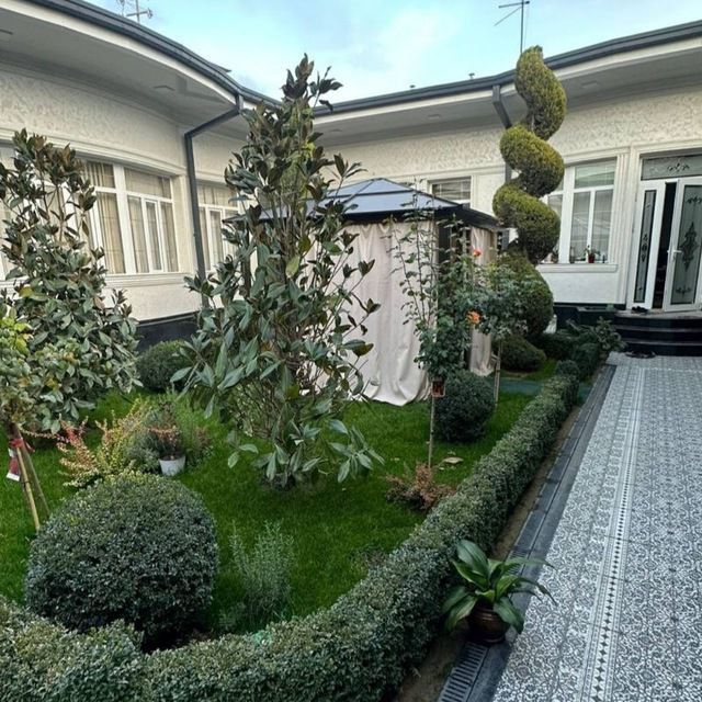 Gazon Ekamiz Lanshab qilamiz Archalarga shakil beramiz