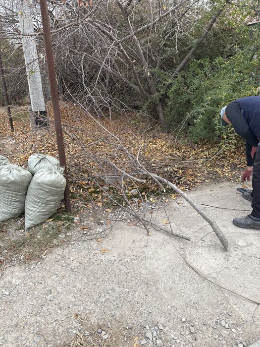 Дрова бесплатно, самовывоз срочно