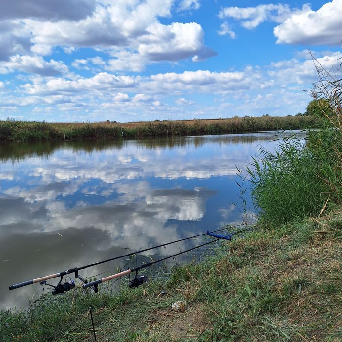 Feeder Pro FL Black Force Feeder