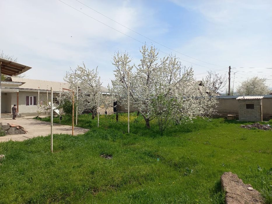 Газалкент Паргоз продаётся участок мебель глам пайдалар била