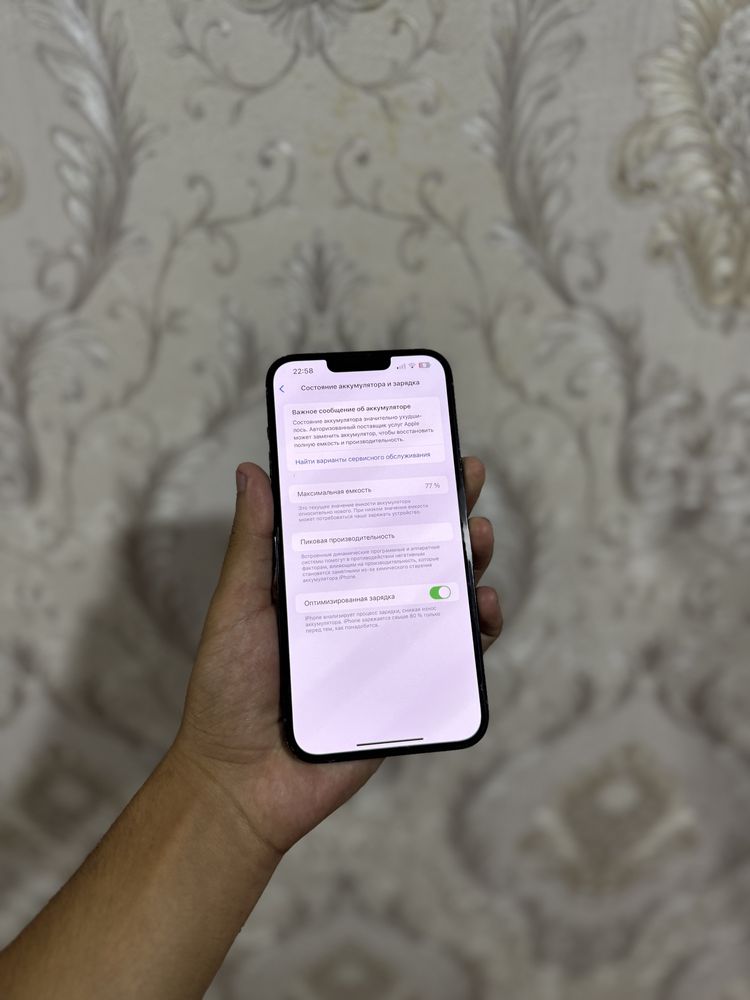 Iphone 13 pro max 256gb