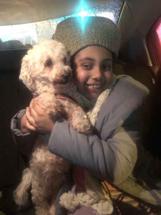 Cazare caini pet sitter