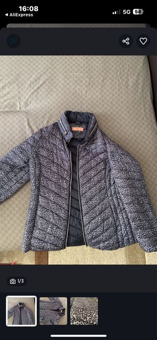 Geca primavara toamna