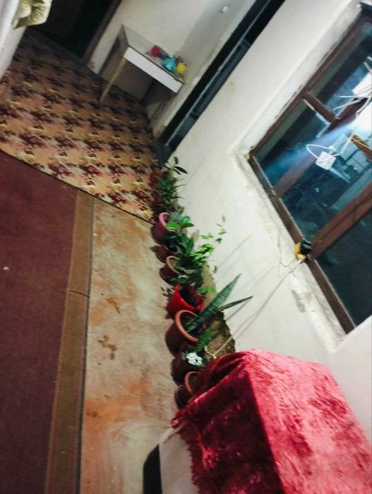 FAQAT 2 ta student qizlar ijaraga hovli bezmakler