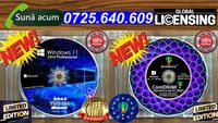 CorelDRAW BUSINESS 2023 - 3 Lifetime Licenses-CADOU DVD Windows 11 PRO