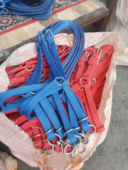 Ot nuxta Toy nuxta Mol nuxtalar optim ishlab chiqaramiz va sotamiz