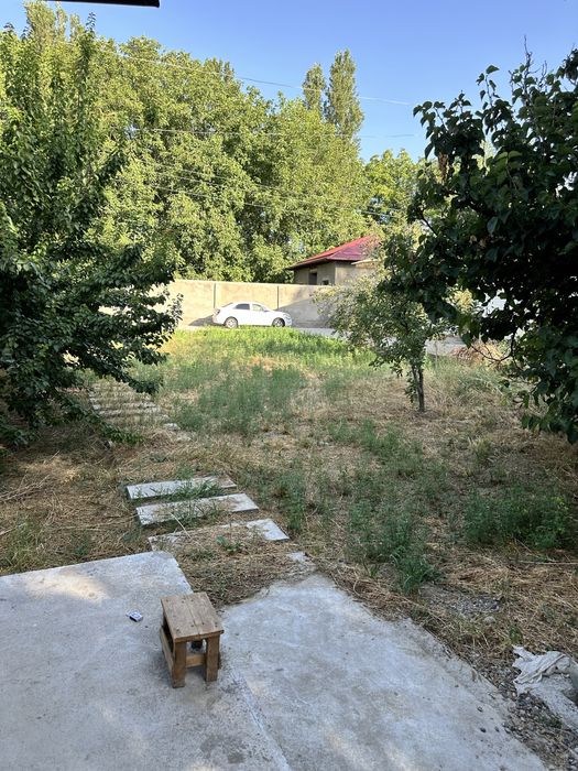 Ijaraga honadon. Dala hovli