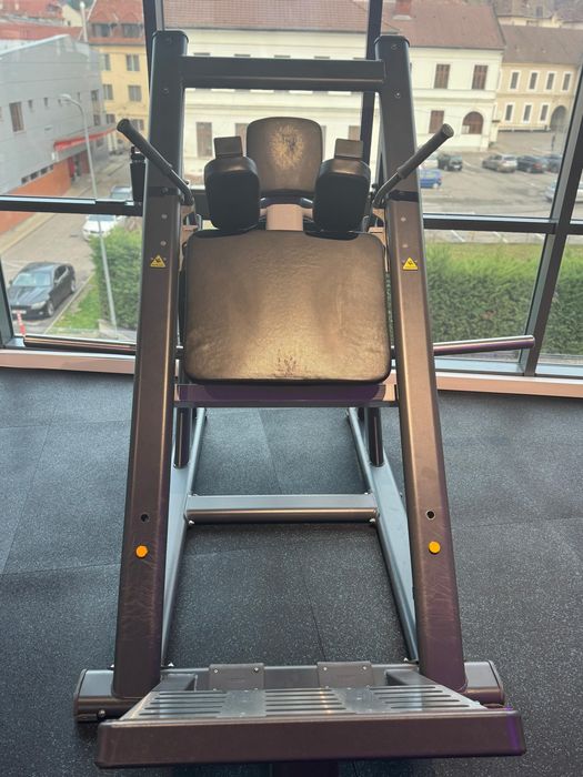 Hack Squat profesional fitness Master Sport