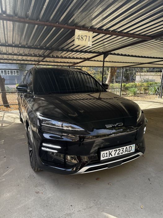 Чемпион 605 тали хонор позиция