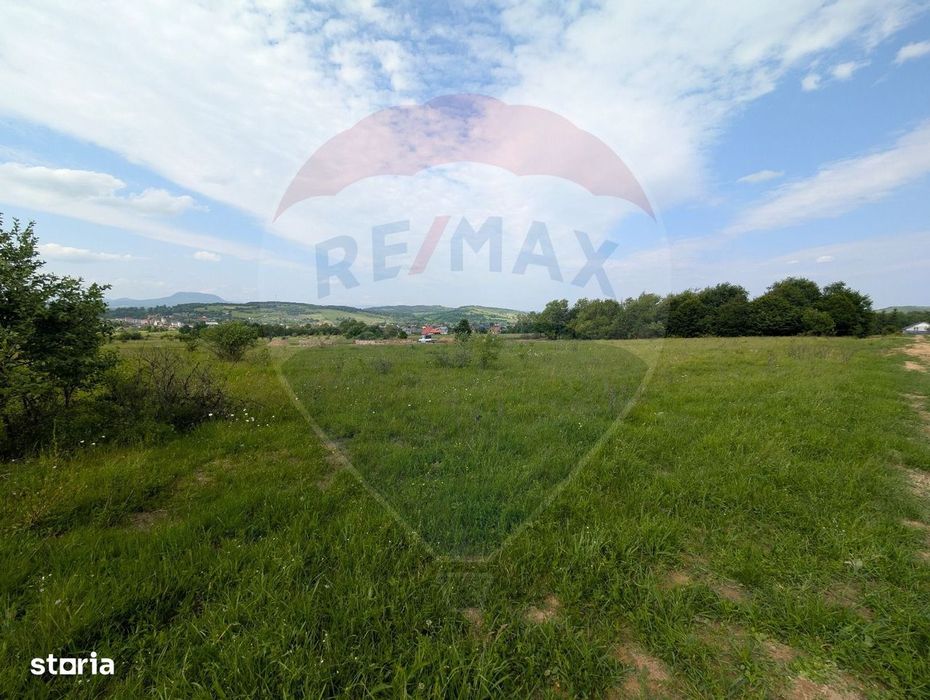 Teren intravilan de vânzare  2.444 mp - Târgu Lăpuș