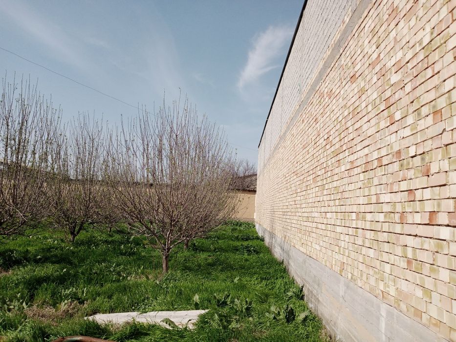 Keles Abduraxmonov yolida Yer sotiladi 8 sotix