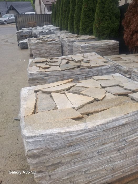 Vând plante ornamentale și piatra naturala