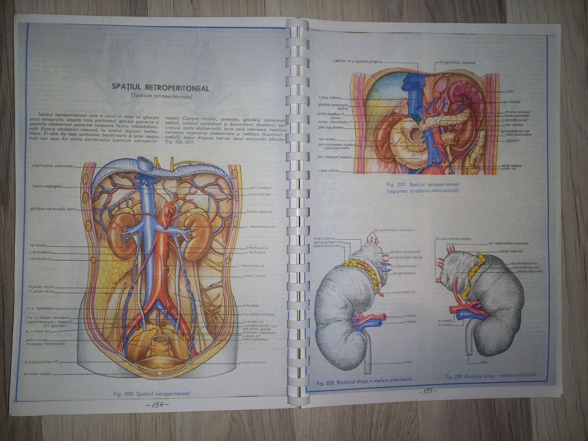 Atlas anatomie umana - vol 2