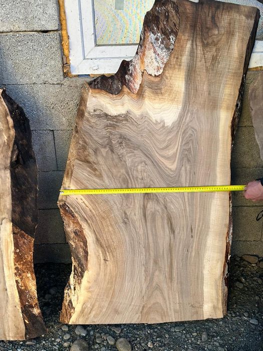 Foastănă nuc, Blaturi 5.5 cm !