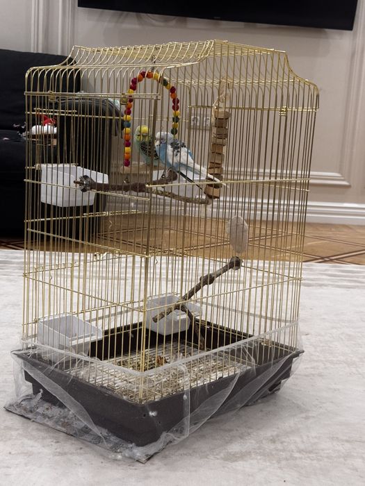 Клетка для попугаев