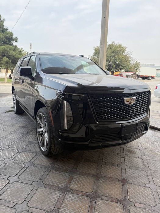 Cadillac escalade sport platinum
