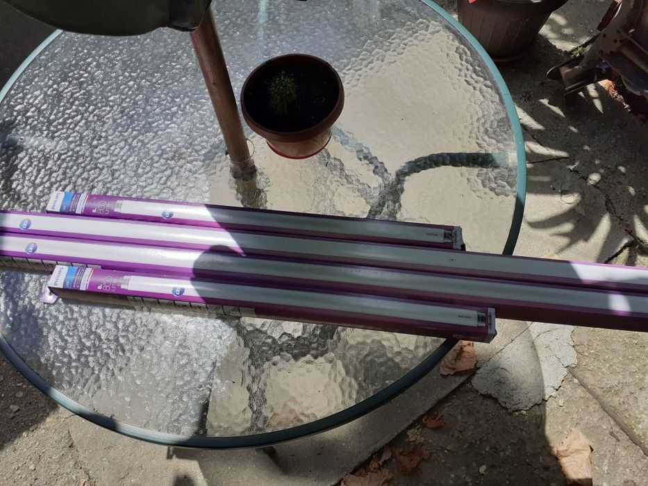 Neoane de vânzare  pe led.⁹