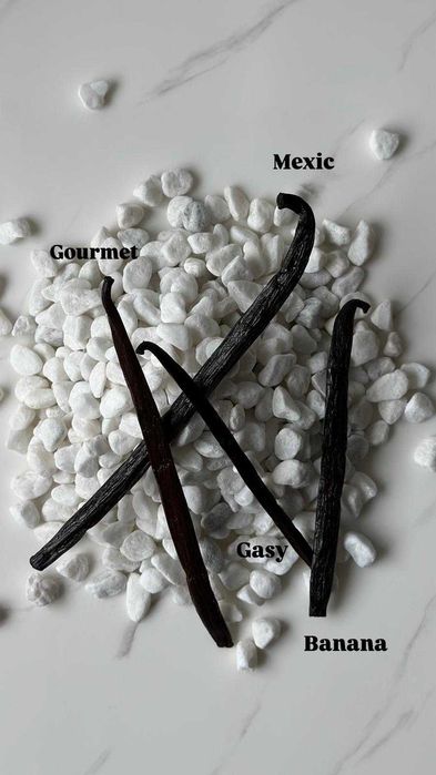 Pastai de vanilie Gourmet (18-20 cm)