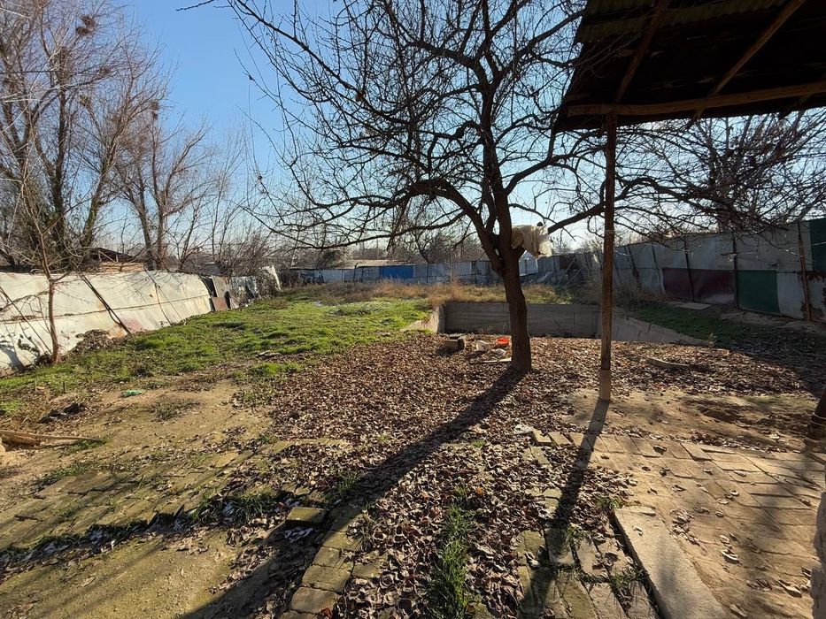 Nazarbetk textilda yer sotiladi 6+2 sotix