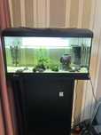 Acvariu de vanzare(Stand+ Accesorii)