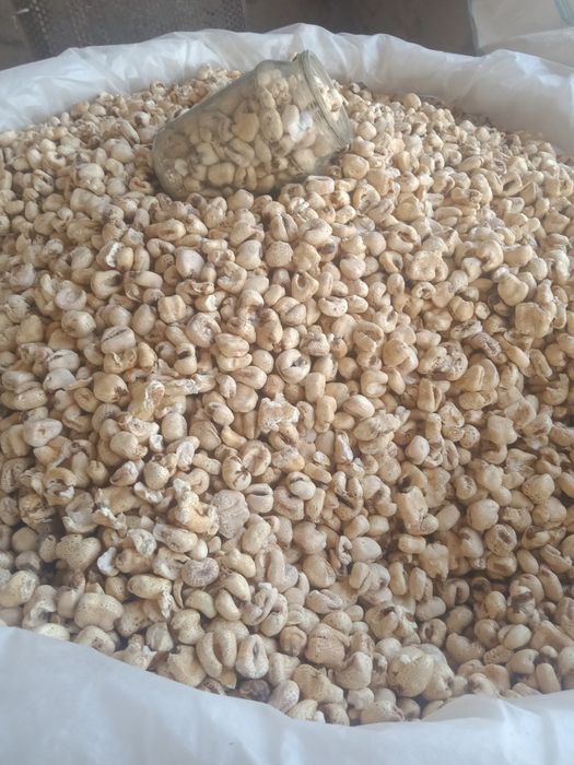 Mazzali popcorn kukuruzni