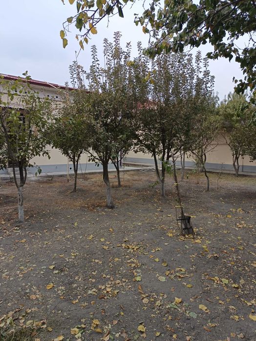 Оилага ижарага коттеж, узимники