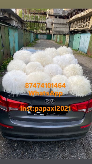 Папаха кавказская