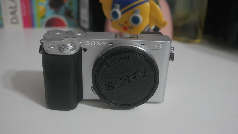 Sony a6100 sub 3000 cadre